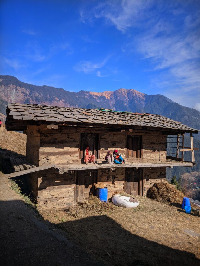 pexels pavvansingh 29285218